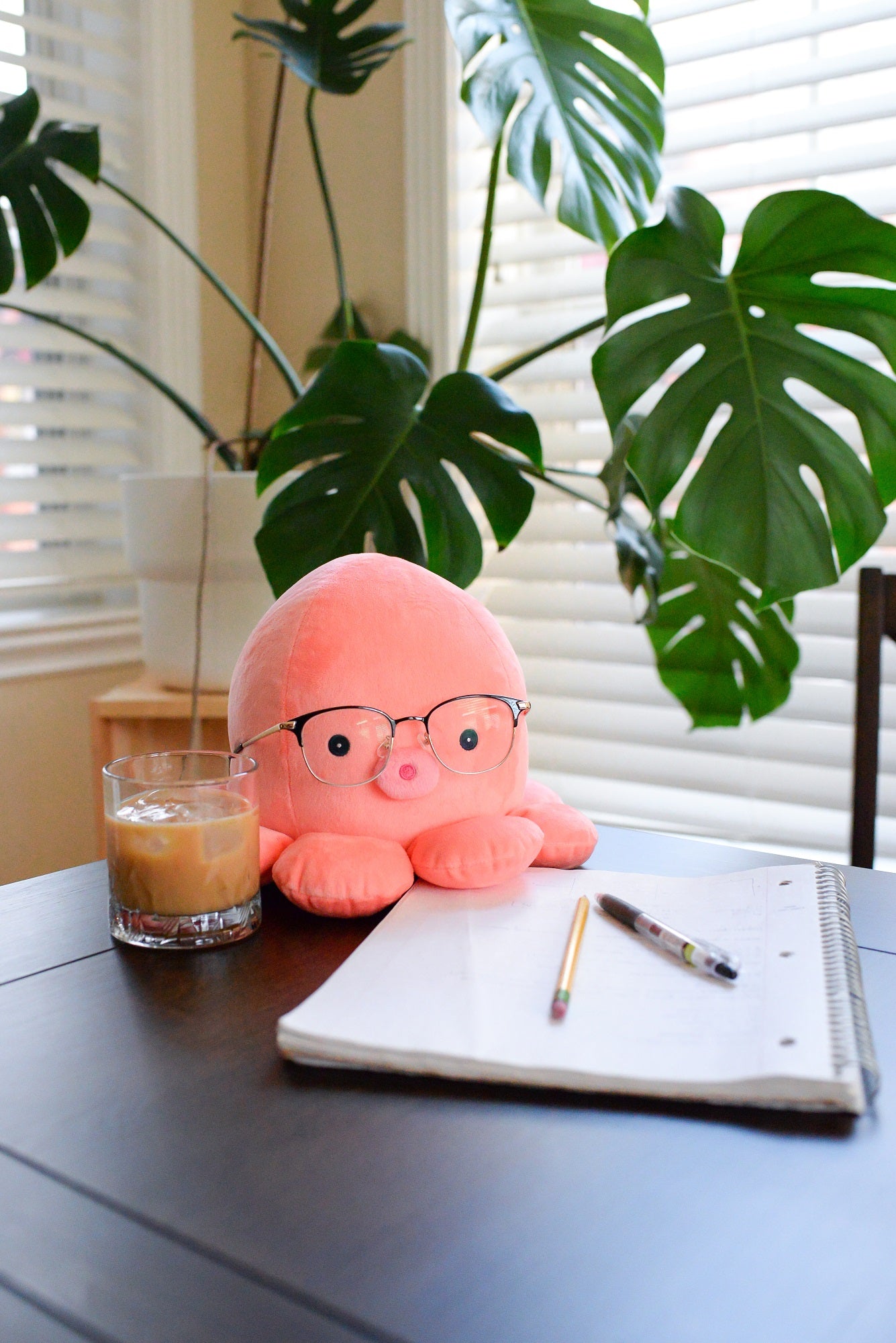 About Us Snuggle Chubs