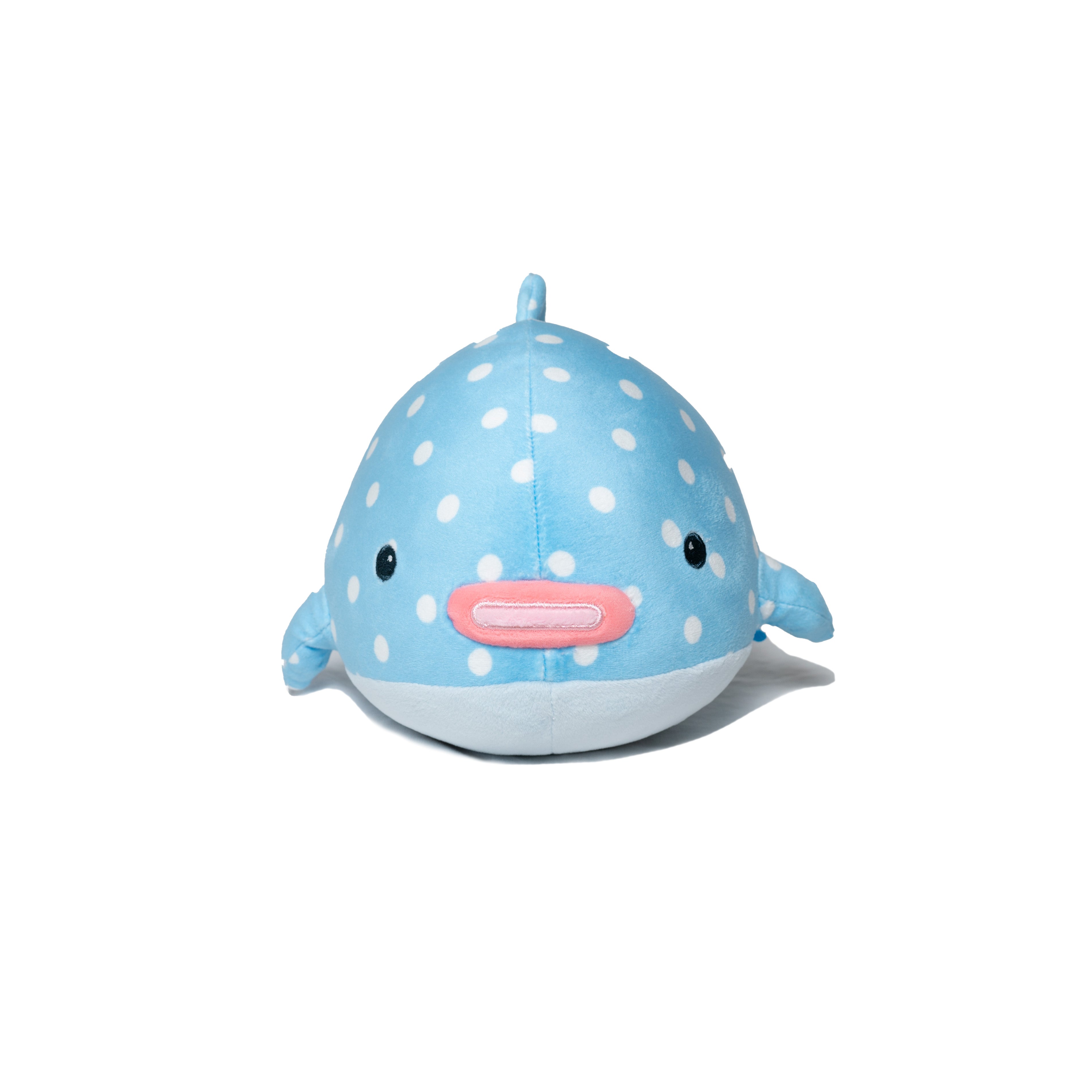 Willie the Whale Shark